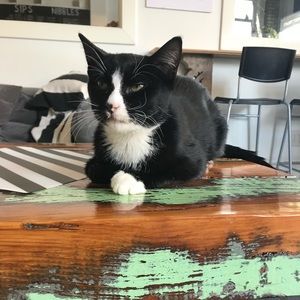 Meet your Posher, Lilly